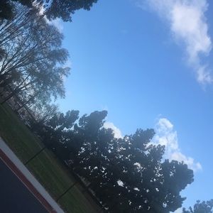 Meet your Posher, Elise